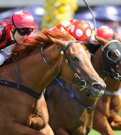 The Australian Turf Club The Australian Turf Club